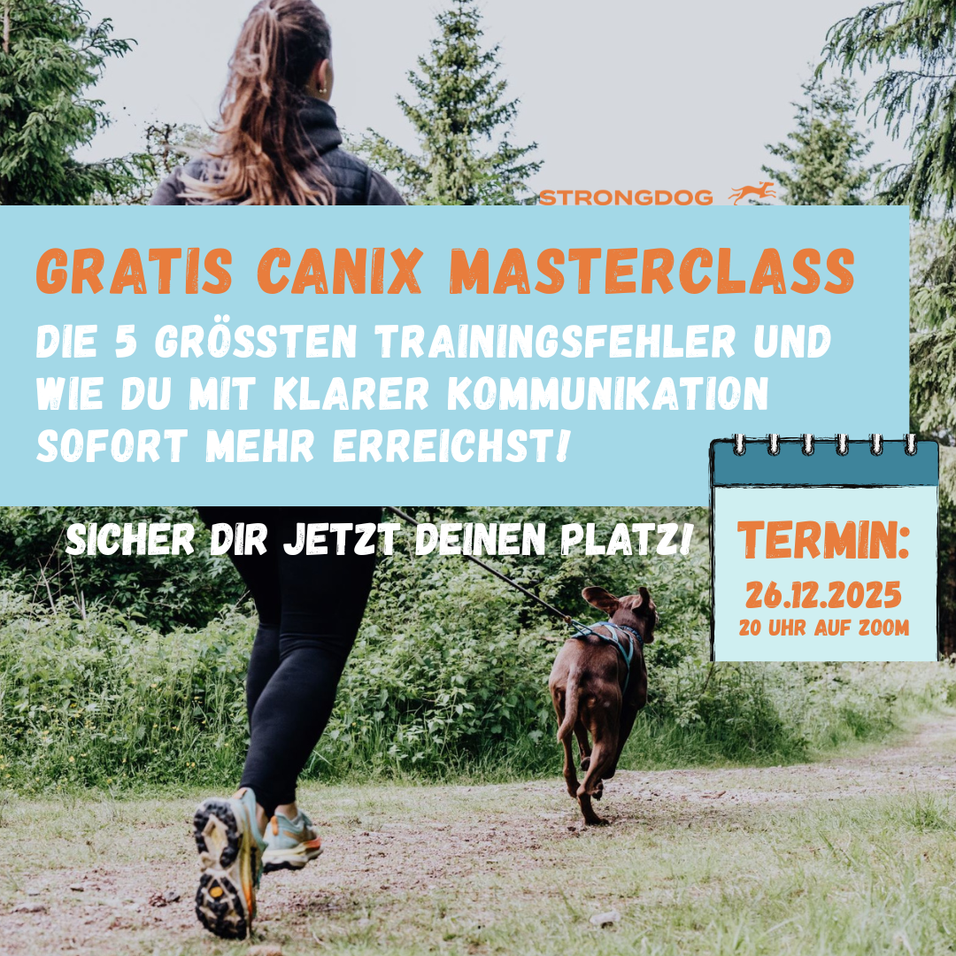 Gratis CaniX Masterclass: Die 5 Trainingsfehler und wie du sofort erfolgreicher trainierst