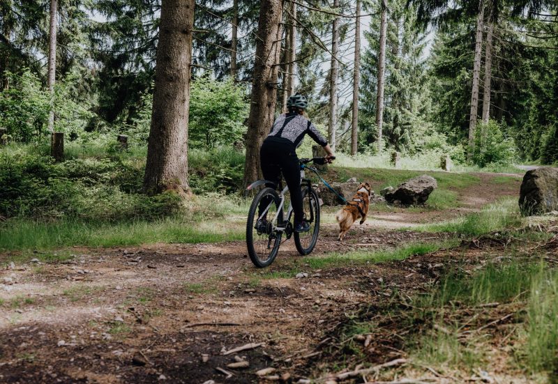 Intensiv-ErlebnisCamp 2026 – Bild 3
