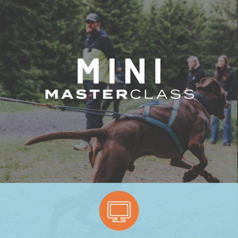 Mini-Masterclass