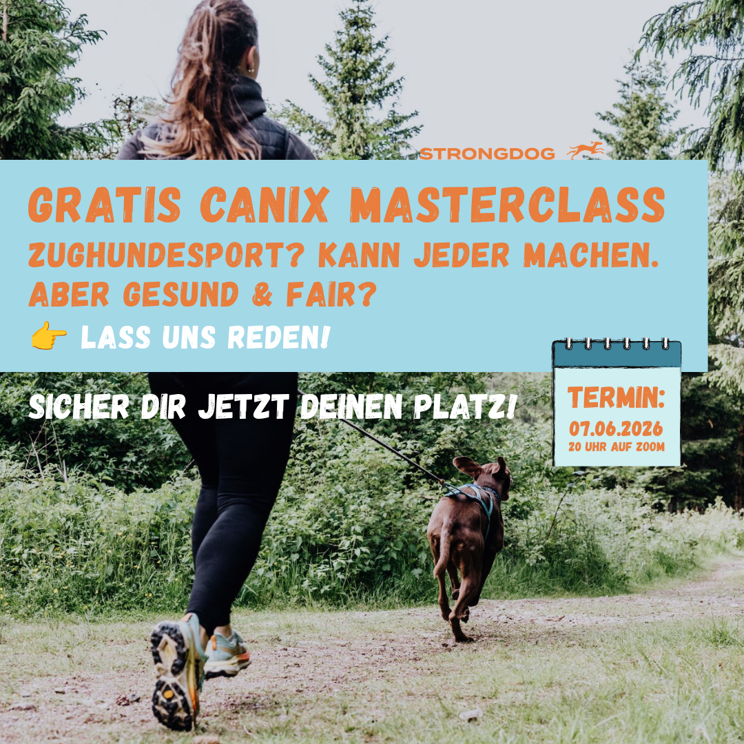 StrongDog Inside - Ausbildung & Masterclass Live