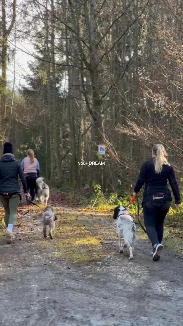 Hast du den Traum Zughunde- oder Canicross-Trainer zu werden? 🤩 Dann geh los…

Wir begleiten dich! 👉 www.strongdog.training