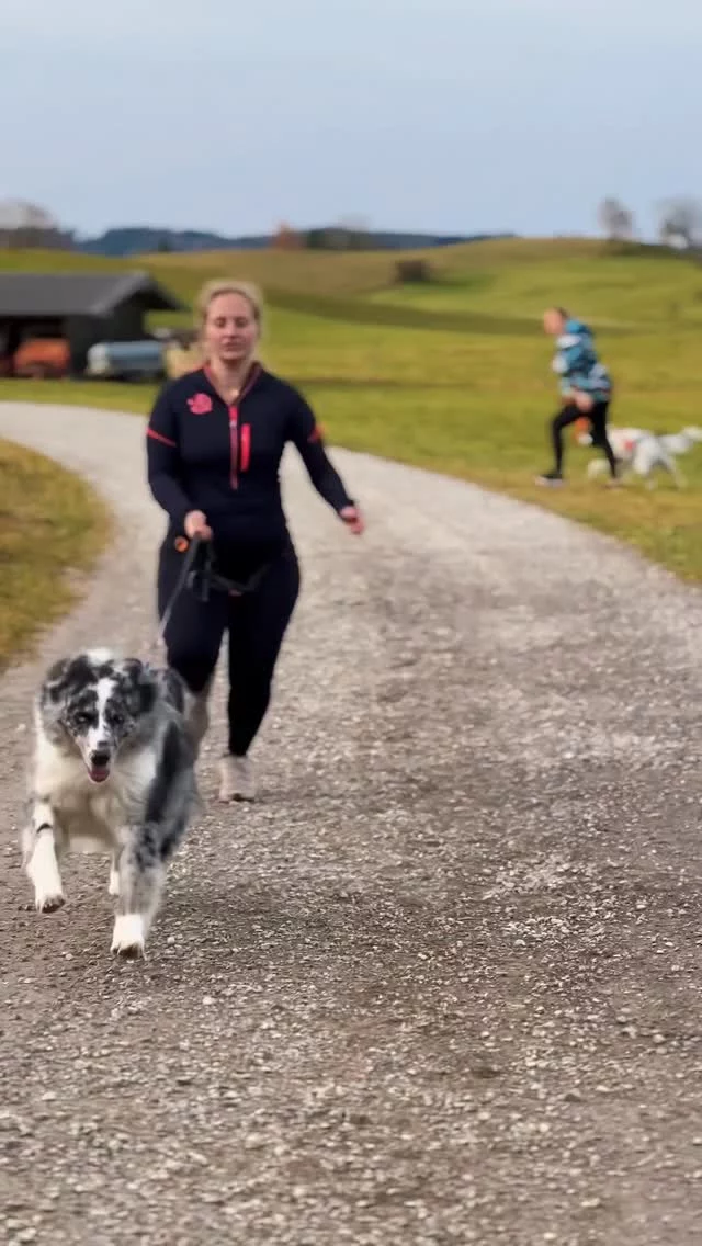 „Ein guter Trainer vermittelt nicht nur Wissen, er öffnet Menschen die Tür zu ihrem eigenen Wachstum.“ ✨

Bock auf ne geile Ausbildung? 👉 strongdog.training
