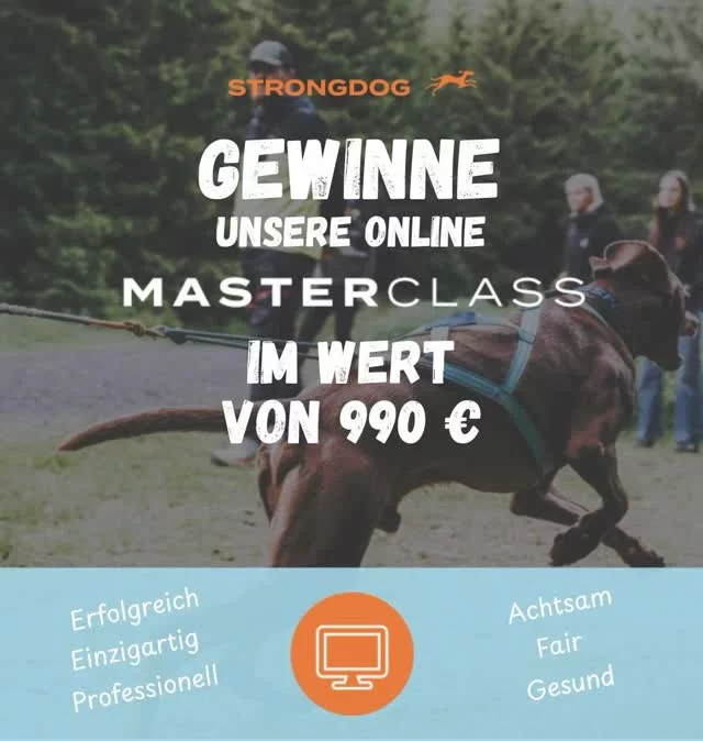 🚀 GEWINNSPIEL TIME, STRONGDOG FAMILY! 🚀
Wir hauen richtig einen raus und zwar gleich ZWEI Mega-Gewinne für alle, die mit Herz, fundiertem Wissen und Leidenschaft mit ihrem Hund Zughundesport trainieren wollen! 💥🐶🔥

🎁 1. Preis: Unsere große Online-MASTERCLASS im Wert von 990 €!
🎁 2. Preis: Unsere Mini-MASTERCLASS im Wert von 249 €!

Ob Profi, Einsteiger, Hundetrainer oder einfach absolut zughundeverrückt: Diese Masterclasses bringen euch und euren Vierbeiner auf das nächste Level: achtsam, fair, gesund und vor allem erfolgreich. 🧡💪

✨ So machst du mit:
1️⃣ Folge unseren Accounts @strongdog.de und @strongdog.training (wenn du’s nicht eh schon tust 😉)
2️⃣ Like diesen Beitrag
3️⃣ Markiere jemanden, der das unbedingt wissen muss 🐺💥
4️⃣ Extra-Los: Teile den Beitrag in deiner Story und tagge uns!

⏰ Teilnahmeschluss: Sonntag, der 23.11.2025
🏆 Gewinner-Bekanntgabe: Montag, 24.11.2025

Let’s spread the STRONGDOG spirit, denn wir wollen etwas bewegen! 🧡🐕🔥

#strongdog #strongdogcommunity #masterclass #gewinnspiel #dogpower #canicrosslife #hundeliebe #dogtraining #hundetraining #zusammenstark #teamhund #canicrosslove #fitmitHund #fairtrainieren #achtsammitHund #hundesport #trainhardplayhard #zughundesport #bikejoring 

⚠️ Hinweis: Dieses Gewinnspiel steht in keiner Verbindung zu Facebook oder Instagram und wird in keiner Weise von diesen gesponsert, unterstützt oder organisiert.