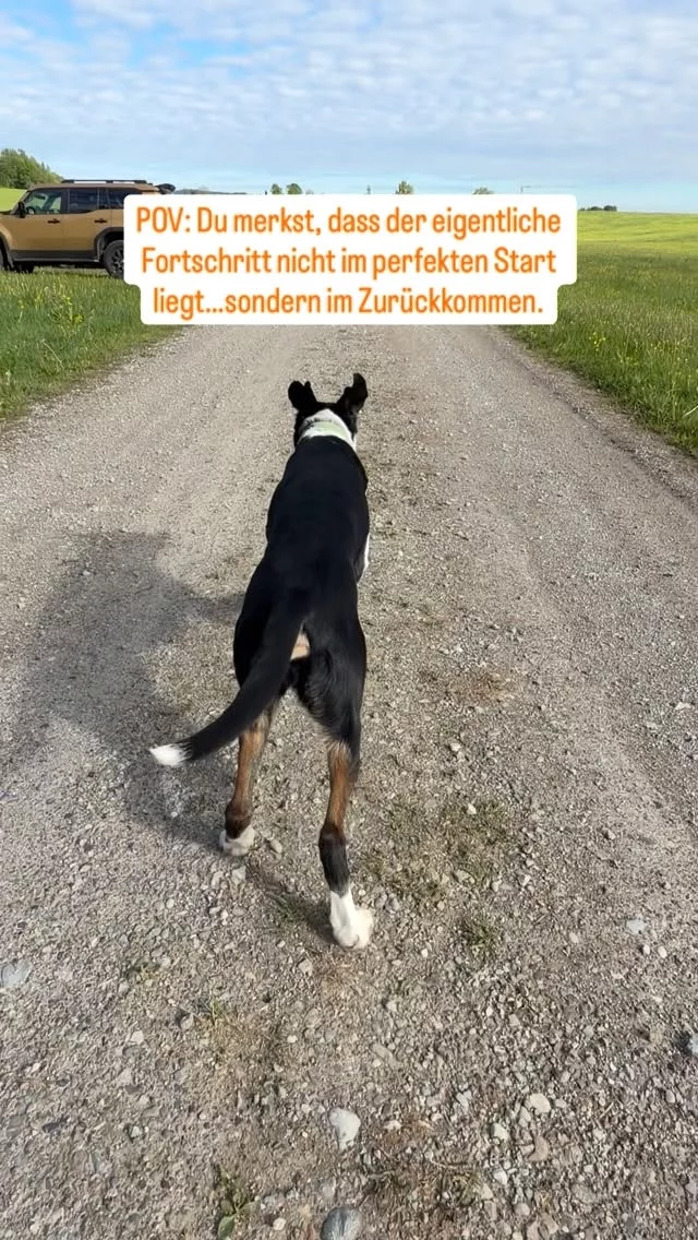 Fehlstarts gehören dazu. 💁‍♀️

Entscheidend ist nicht, dass immer alles perfekt läuft. Sondern wie ansprechbar dein Hund in solchen Momenten noch bleibt.

Zurückkommen.
Neu fokussieren.
Gemeinsam nochmal starten.

Genau daraus entsteht gutes Training. 🤩

Hätte dein Hund umgedreht? 👀

#zughundesport #canicross #hundetraining #dogtraining #hundeausbildung