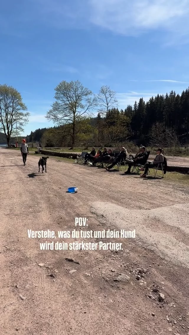 Das hier ist kein „einfach mal machen“.
Das ist verstehen, fühlen, anwenden.

Genau das lernst du in unserer Ausbildung:
👉 Hunde wirklich lesen
👉 Verhalten sauber einordnen
👉 Training bewusst aufbauen

Und dann passiert’s:
Dein Hund arbeitet mit dir. Nicht gegen dich.

Das ist der Unterschied zwischen
„ich probier mal was aus“
und echtem Trainingsverständnis.

👉 Werde der Trainer, der wirklich weiß, was er tut.

#hundetrainerausbildung #hundetraining #hundetrainer #canicross #strongdog