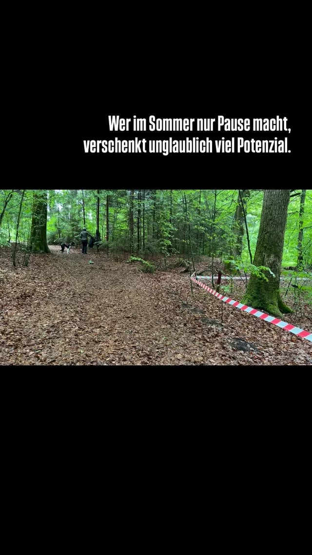 Viele denken im Sommer sofort: Pause. ☀️

Und ja: lange Strecken, Vollgas laufen und intensive Belastung haben bei Wärme absolut nichts verloren.

Aber genau deshalb ist diese Zeit so wertvoll.

Denn jetzt geht es nicht mehr darum, einfach nur Strecke zu machen. Jetzt geht es um die Dinge, die später wirklich den Unterschied machen.

Der Sommer ist die perfekte Zeit für:

* Fokus
* Körpersprache
* Ansprechbarkeit
* Ruhe
* Zugverständnis
* Technik
* kontrollierte Intensität
* mentale Stärke

Gerade wenn du neu starten willst oder merkst, dass euch im Training noch Grundlagen fehlen, kannst du jetzt früh morgens oder abends unglaublich sinnvoll arbeiten.

Ohne Leistungsdruck.
Ohne stumpf Kilometer zu sammeln.

Denn starke Teams entstehen nicht einfach durchs Laufen. Sondern durch sauberen Aufbau.

Und genau deshalb stehen viele Teams im Herbst plötzlich ganz anders am Start als noch im Frühjahr, wenn sie mit uns trainiert haben. 🧡

Genau dafür gibt es unsere:
👉 Trainingszentren
👉 Masterclasses
👉 Workshops
👉 Ausbildungen

Denn guter Zughundesport beginnt nicht bei Tempo. Sondern bei Verständnis.

Training & Ausbildung 👉 www.strongdog.training

#zughundesport #canicross #sportmithund #hundetraining #strongdogtraining