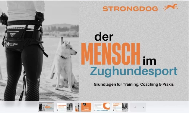 Der Hund ist nicht das Einzige, das trainiert werden sollte.

Deshalb erweitern wir gerade unser Ausbildungskonzept.
Mit einem komplett neuen Bereich rund um den Menschen im Zughundesport.

Bewegung.
Technik.
Körperkontrolle.
Belastung.
Regeneration.
Coaching.
Athletik.
Mindset.
Praxis.

Denn ein starkes Team entsteht nicht nur durch einen gut trainierten Hund.
Sondern auch durch einen Menschen, der versteht, was er da eigentlich tut.

Genau darum geht’s.

Mehr Verständnis.
Mehr Körpergefühl.
Mehr Qualität im Training.
Und mehr Sicherheit für Mensch & Hund.

Das hier ist kein Fitness-Hype.
Das ist echtes Menschentraining für den Zughundesport. 🔥

Entwickelt von der OCR Weltmeisterin & erfolgreichen Zughundesportlerin @anita.kostka von @crossdog.de 

Habt ihr Bock? 🤩

#zughundesport #canicross #dogsport #mindset #functionaltraining