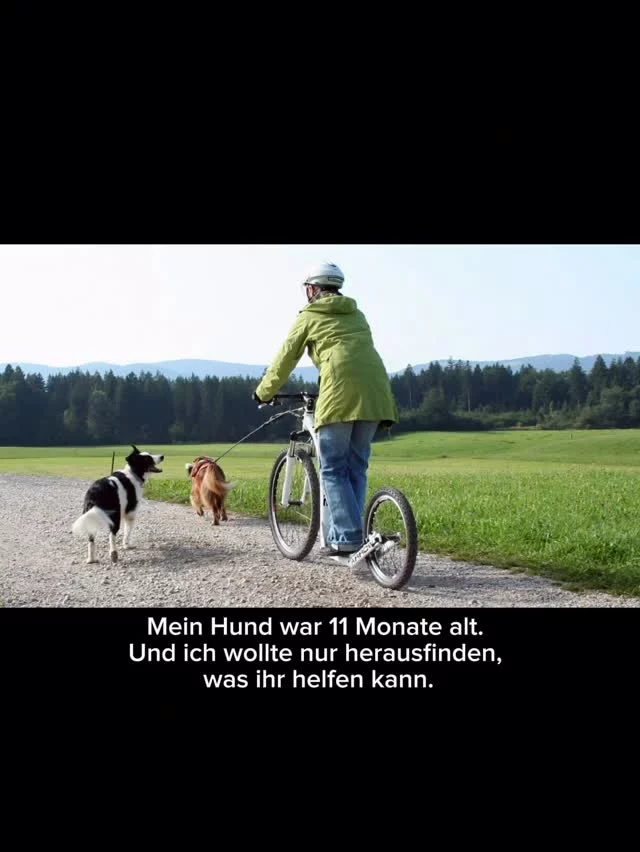Meine Hündin Dina ist damals mit elf Monaten immer wieder lahm gegangen. 

Die Tierärzte wollten operieren, aber es gab nie eine eindeutige Diagnose.

Und weil ich selbst aus dem gesundheitsorientierten Krafttraining kam, dachte ich mir damals: Gezielter Muskelaufbau hilft vielleicht mehr als eine OP. Ein Versuch war es auf alle Fälle wert.

Also habe ich angefangen zu überlegen: Welchen Hundesport kann ich sinnvoll mit meinem Hund machen, um die Muskulatur gezielt aufzubauen?

Und genau so bin ich irgendwann beim Zughundesport gelandet.

Ich hätte damals nie gedacht, was daraus einmal entstehen würde:

👉 Rennen
👉 Events
👉 Ausbildungen & Masterclass
👉 Magazine & Bücher
👉 Produkte
👉 Stores
👉 tausende Teams
👉 und eine komplette Community.

Und das Schönste daran: Dina ist danach nie wieder lahm gegangen und hat den Sport bis zu ihrem 11. Lebensjahr gesund und mit voller Freude gemacht. 🧡

Alles nur, weil ich eigentlich einfach nur herausfinden wollte, was meinem Hund helfen kann. 🫶

Und genau deshalb glaube ich: Hunde verändern oft nicht nur unseren Alltag. Sondern manchmal unseren kompletten Weg. 🥹

#zughundesport #canicross #sportmithund #strongdogtraining #lebenmithund