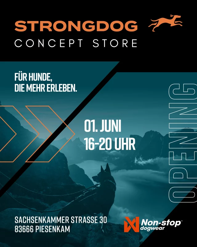WIR SIND ZURÜCK. 
Und ehrlich? Besser denn je. 🧡

Für Hunde, die mehr erleben.

Am 01.06. öffnen wir von 16–20 Uhr endlich unseren Store. 
👉 Mit Equipment, das nicht nur gut aussieht, sondern draußen wirklich funktioniert. 
👉 Mit ehrlicher Beratung aus Jahren voller Training, Ausbildungen, Events, Abenteuer und echter Erfahrung. 
👉 Und mit Produkten, hinter denen wir wirklich stehen.

Kein 08/15-Hundeladen. Sondern ein Store für Menschen, die mit ihren Hunden etwas erleben wollen.

Und jetzt wird’s ernst: 
Unser Onlineshop öffnet schon ÜBERMORGEN um 12 Uhr. 🔥

Das heißt: 
Auch wenn du nicht beim Opening vor Ort sein kannst, kannst du direkt von Anfang an Teil davon sein. 🤩 

Natürlich warten ein paar Überraschungen auf euch. 🔥

Also Hand aufs Herz: 
Wer wartet schon drauf? 👀

#strongdog #strongdogstore #fürhundediemehrerleben #zughundesport #dogadventure