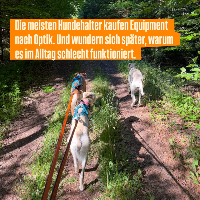 Die meisten merken erst viel zu spät, wie wichtig gutes Equipment wirklich ist.

Wenn die Leine draußen nur noch nervt.
Das Geschirr nicht richtig sitzt.
Oder man merkt, dass gut aussehen und wirklich funktionieren oft zwei komplett unterschiedliche Dinge sind.

Und ehrlich?
Genau sowas sehen wir seit Jahren ständig.

Im Alltag.
Im Training.
Auf Events.
Im Zughundesport.

Genau deshalb wird’s im StrongDog Store auch nie einfach nur um Produkte gehen. Sondern um ehrliche Empfehlungen, echte Erfahrung und Equipment, das draußen wirklich funktioniert.

Für Hunde, die mehr erleben. 🧡

Jetzt mal ehrlich:
Was war euer größter Fehlkauf beim Hundeequipment? 👀

#strongdog #strongdogstore #fürhundediemehrerleben #hundeequipment #dogadventure