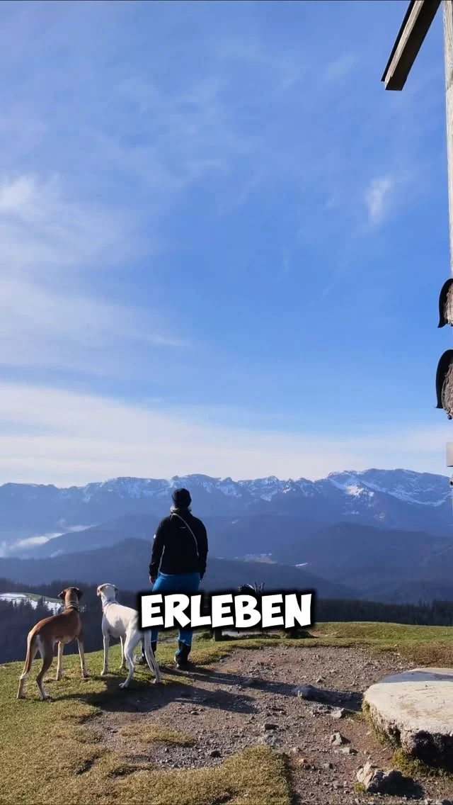 StrongDog war für uns nie einfach nur ein Hundesport. 🧡

Nicht einfach nur Events.
Nicht einfach nur Training.
Nicht einfach nur Equipment.

Sondern immer dieses Gefühl, gemeinsam mit den Hunden etwas zu erleben, draußen unterwegs zu sein und Teil einer Community zu sein, die genau das versteht.

Und genau daraus ist jetzt auch wieder der StrongDog Concept Store entstanden. 👀👉 www.strongdog.store

Für Hunde, die mehr erleben. 🐾

#strongdog #strongdogstore #zughundesport #canicross #fürhundediemehrerleben