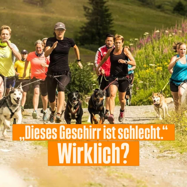 Mich überrascht immer wieder, mit welcher Sicherheit im Zughundesport manche Aussagen getroffen werden. 💁‍♀️

👉 Dieses Geschirr ist schlecht.
👉 Diese Methode funktioniert nicht.
👉 Das ist schädlich.

Große Behauptungen. Große Gewissheit. 

Was mir dabei oft fehlt:
Die Erklärung, worauf diese Gewissheit eigentlich basiert und wie man zu dieser Schlussfolgerung gekommen ist.

Denn zwischen einer Beobachtung, einer persönlichen Erfahrung und einer allgemeingültigen Aussage liegen Welten.

Natürlich sind Erfahrungen wichtig. Aber nur weil etwas oft wiederholt wird, wird es nicht automatisch wahr.

Ich wünsche mir im Zughundesport mehr Menschen, die Fragen stellen.

Und weniger Menschen, die ihre Meinung als Fakt verkaufen.

Mein Wunsch:
Weniger Pauschalaussagen.
Mehr differenzierte Betrachtung.

Welche Aussage im Zughundesport wird deiner Meinung nach viel zu oft als Fakt verkauft? 👇

#zughundesport #canicross #strongdog #hundetraining #hundecommunity