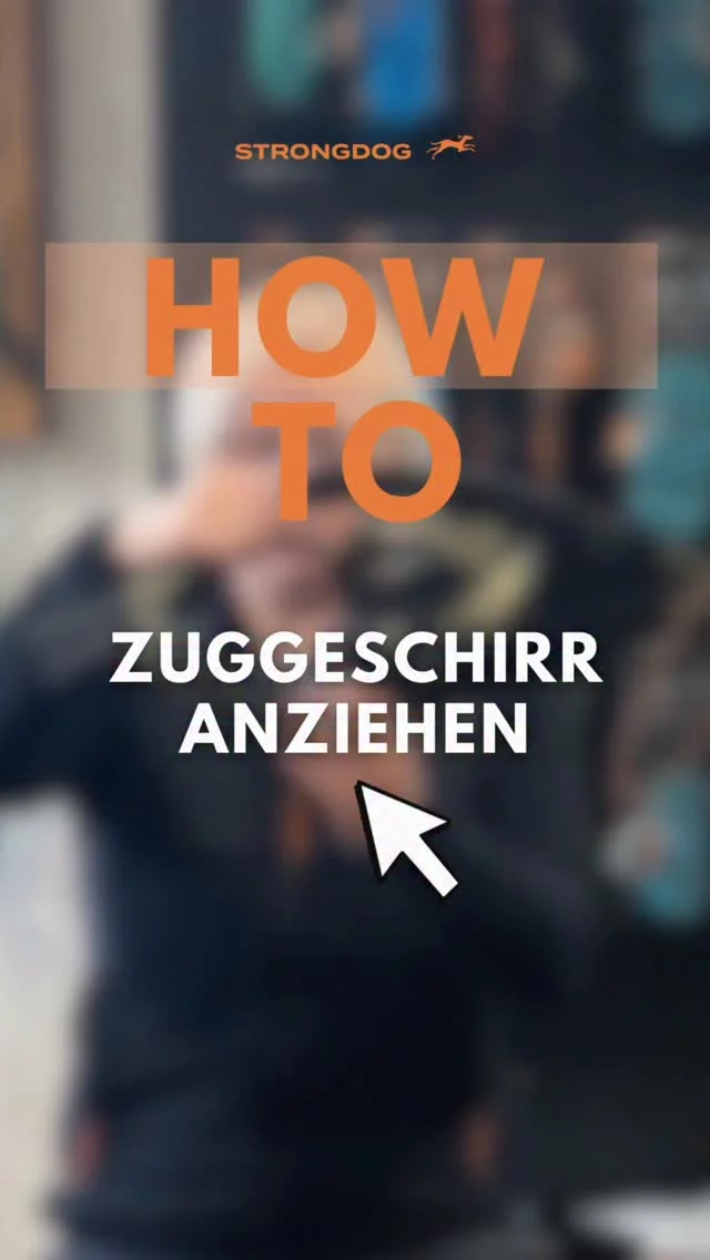 Ein Zuggeschirr anziehen? Klingt einfach. 🐾
Und genau hier beginnt der Zughundesport.

Bevor wir über Training, Technik oder Leistung sprechen, gehören die Grundlagen dazu. Und dazu zählt auch das richtige Anziehen eines Zuggeschirrs.

Denn jeder Handgriff hat ein Ziel: Deinem Hund Sicherheit zu geben, das Geschirr korrekt anzulegen und von Anfang an eine positive Routine aufzubauen.

In diesem Reel zeigen wir dir Schritt für Schritt, wie wir ein Zuggeschirr anziehen.

🎥 Das komplette Video mit allen Erklärungen findest du auf unserem YouTube-Kanal.

👉 In den nächsten Tagen geht unsere Serie weiter:
• Zuggeschirr richtig ausziehen.
• Was tun, wenn dein Hund nach dem Anziehen stehen bleibt oder „einfriert“?

Speichere dir die Serie ab und begleite uns Schritt für Schritt durch die Grundlagen des Zughundesports.

#strongdog #zughundesport #canicross #hundetraining #doggear