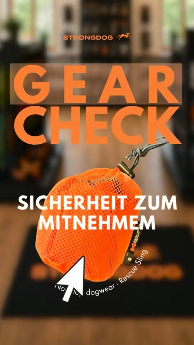 🚨 **Gear Check: Non-stop dogwear Rescue Sling**

Die **Rescue Sling** von Non-stop dogwear ist leicht, kompakt und in wenigen Sekunden einsatzbereit, damit du deinen Hund sicher transportieren kannst, egal ob im Alltag, für alte Hunde oder in den Bergen.

🐾 Trägt Hunde von 5 - 45 kg
⚠️ Ultraleicht & kompakt
⛰️ Entwickelt für Notfälle

Ein Ausrüstungsgegenstand, den man hoffentlich nie braucht, aber im Ernstfall nicht missen möchte.

💬 Würde die Rescue Sling in deinem Wanderrucksack einen Platz finden?

🏔️ Für Hunde, die mehr erleben. 👉 www.strongdog.store

#strongdog #gearcheck #nonstopdogwear #rescuesling #hikingdog