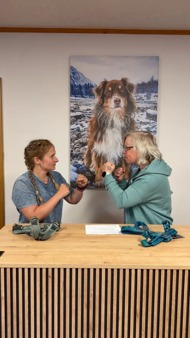 Das seriöse Gear Battle folgt morgen. 🤪 Seid gespannt… 🤩

🏔️ Für Hunde, die mehr erleben. 👉 www.strongdog.store