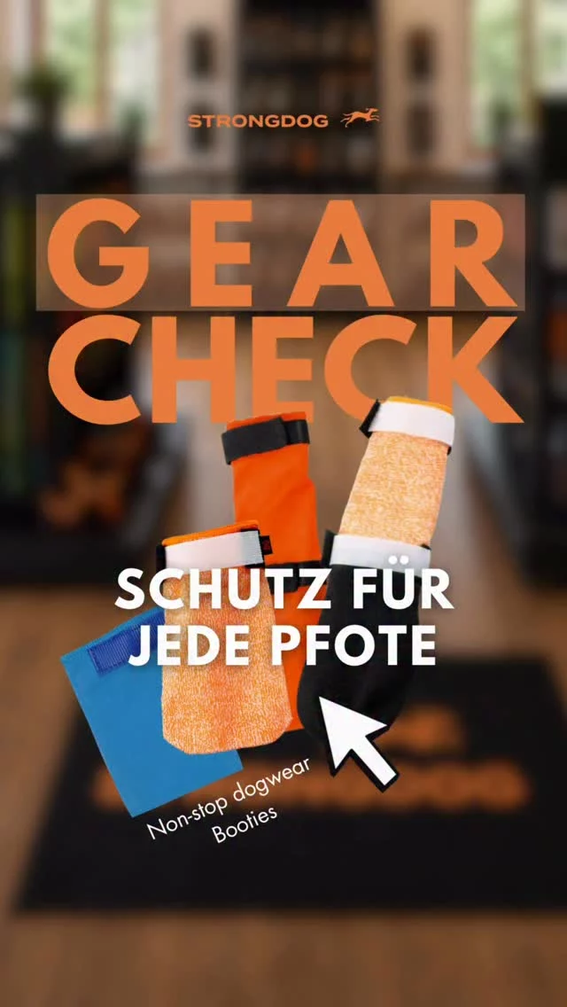 Gear Check: Hundebooties 🐾
Denn Bootie ist nicht gleich Bootie.

Je nach Material, Dicke und Einsatzzweck gibt es deutliche Unterschiede und genau deshalb gibt es auch nicht den einen Bootie für alles.

In diesem Gear Check zeigen wir dir, welcher Bootie für welchen Einsatz geeignet ist und worauf wir bei der Auswahl achten.

Denn der beste Bootie ist nicht der stabilste oder der dünnste, sondern der, der zum jeweiligen Einsatz passt.

💬 Welchen Bootie nutzt ihr am häufigsten? 👉 www.strongdog.store

#strongdog #hundebooties #canicross #doggear #gearcheck