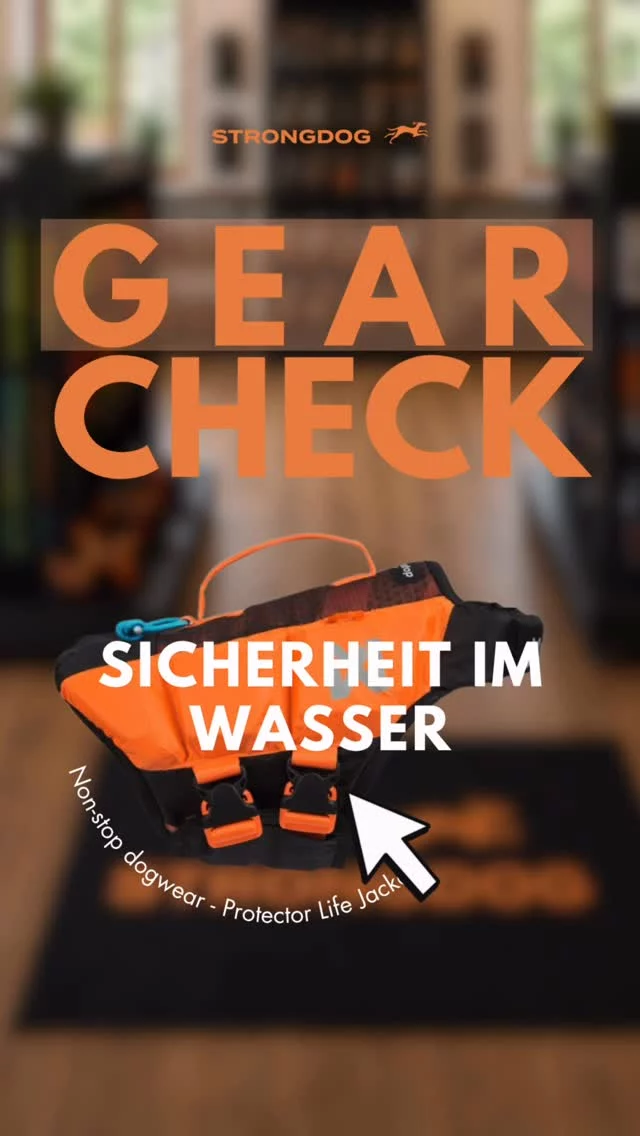 Sicherheit beginnt nicht erst im Wasser. 🐾🧡

Die Protector Life Jacket von @nonstopdogwear gehört für uns zu den besten Schwimmwesten auf dem Markt. Durchdacht, hochwertig und entwickelt für Hunde, die mehr erleben, egal ob am See, auf dem SUP oder im Boot.

Im Reel zeigen wir dir, warum wir sie so gerne empfehlen und worauf du bei einer guten Schwimmweste achten solltest.

☀️ Und das Beste: Aktuell erhältst du 15 % auf unsere Sommerprodukte, darunter auch die Protector Life Jacket.

🛒 Schau in unserem StrongDog Concept Store vorbei und sichere dir dein Sommer-Setup für dich und deinen Hund.

#strongdog #nonstopdogwear #schwimmweste #hundeabenteuer #doggear