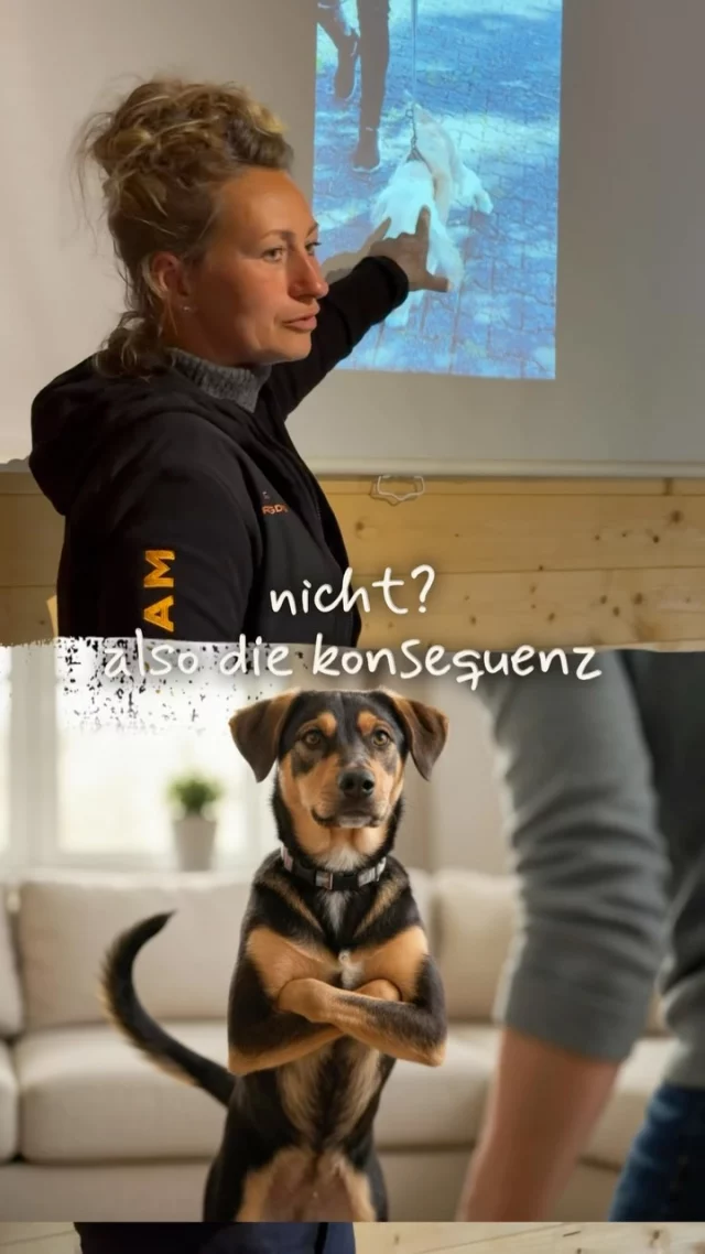 Grenzen sind kein Zeichen von Härte. 🙏

Sie sind Orientierung.
Sie schaffen Sicherheit.
Sie schaffen Vertrauen.

Wer fair Grenzen setzt, muss nicht laut werden.
Genau darum geht es in diesem Reel. 🧡

Die ersten Plätze sind bereits vergeben. 😱

Wenn du mehr über die Ausbildung „Coach für Hundemenschen“ erfahren möchtest, kommentiere COACH und wir schicken dir den Termin für unseren kostenlosen Infoabend sowie alle Informationen zur Ausbildung.